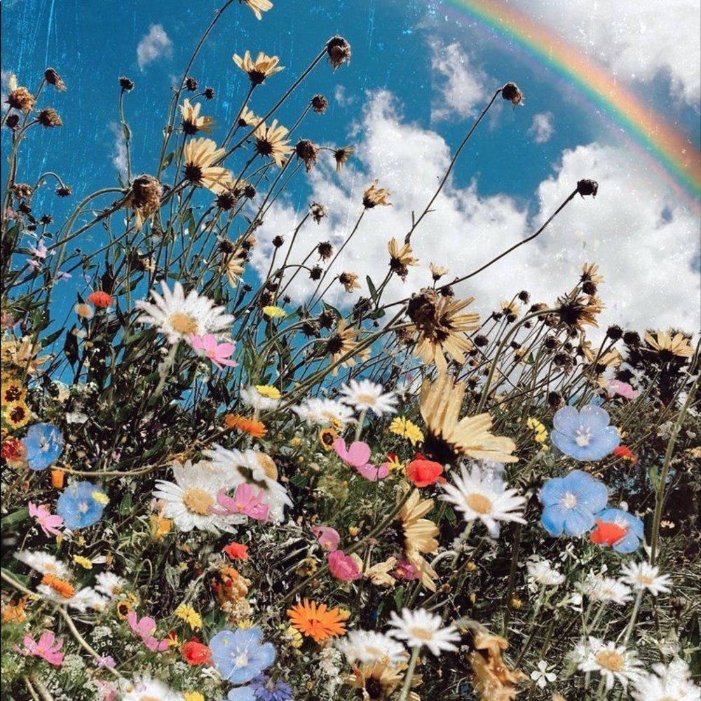 Meet your Posher, Chloe